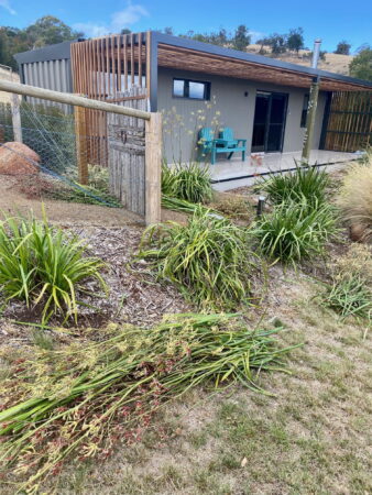 Flowering Kangaroo Paw in front of one of the Eco Pods