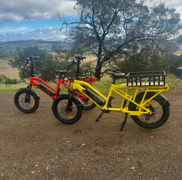 Carbon-Free Guest Transport